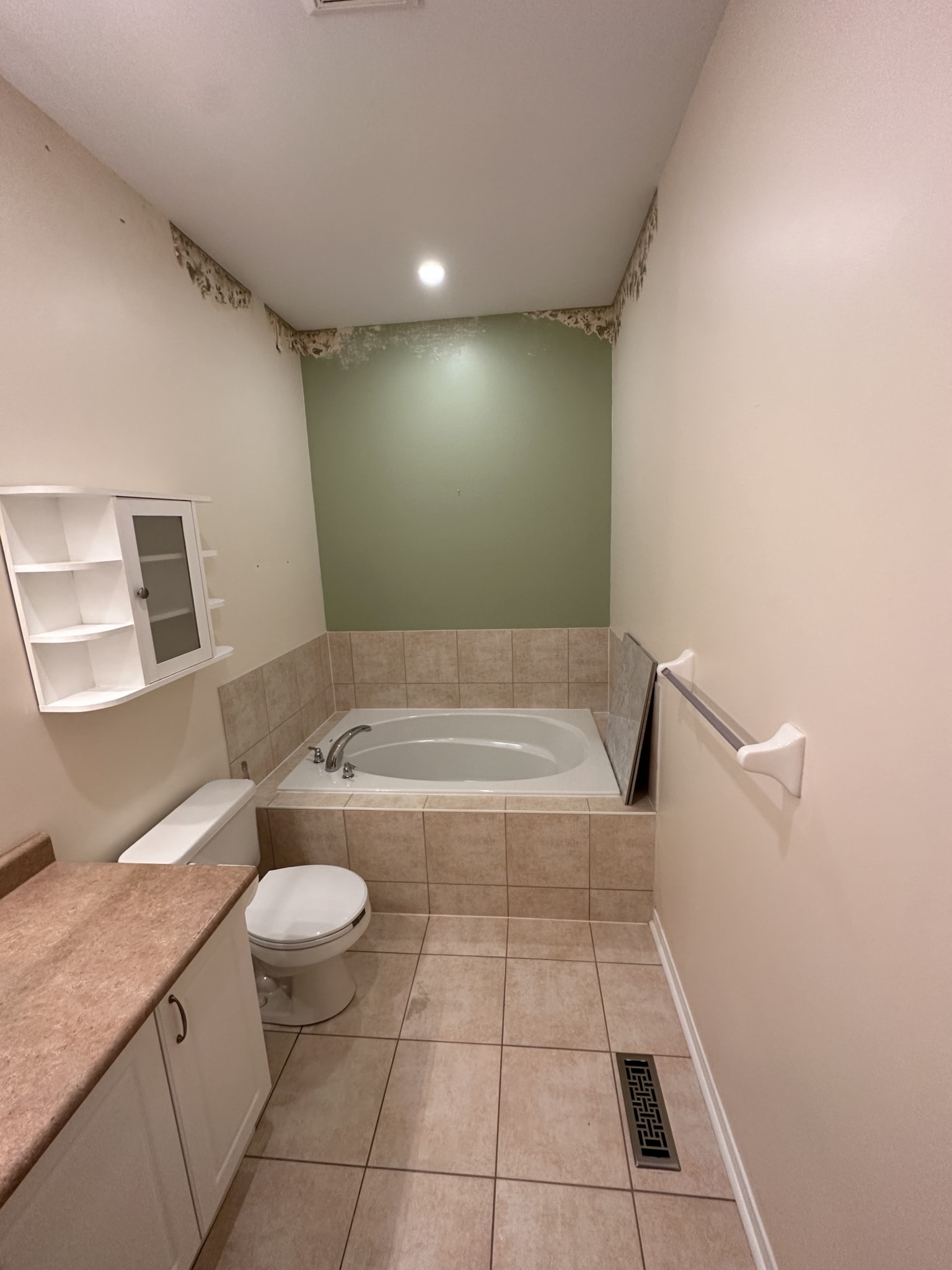 Tub to shower conversion before